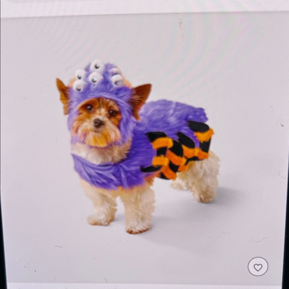 Boots & Barkley Monster Dog Costume in Purple and Black